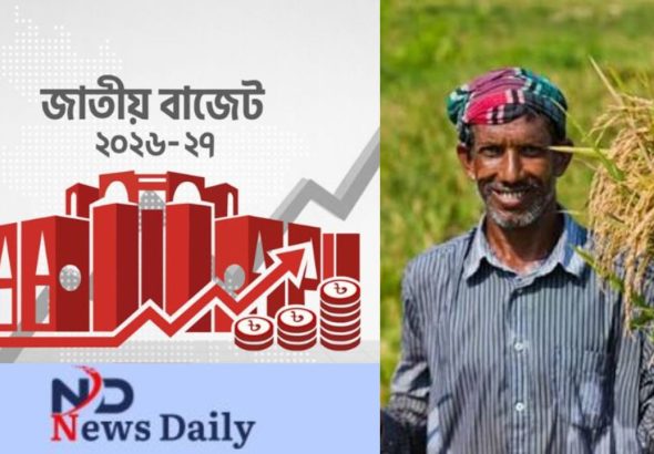 নিউজ ডেইলি